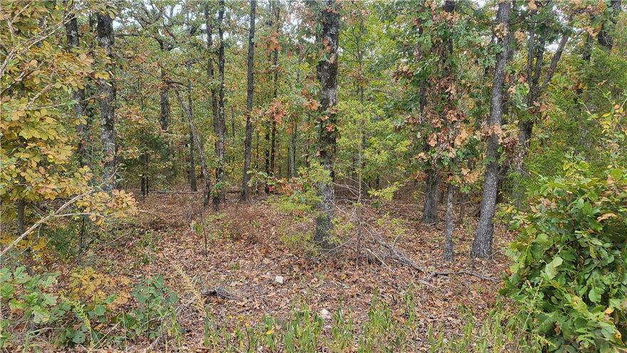 Nice building lot near Lake Loch Lomond. Enjoy all the nearby amenities at Branchwood Recreation Center
to include walking trail, Frisbee golf, indoor pool, playground and more. In addition, as a POA member
you have access to lakes, golf, walking and nature trails, world class mountain bike trails, tennis,
recreation centers, gun range and more! Visit the Bella Vista POA website for a complete list of amenities
and activities. One can vacation all year in beautiful Bella Vista!