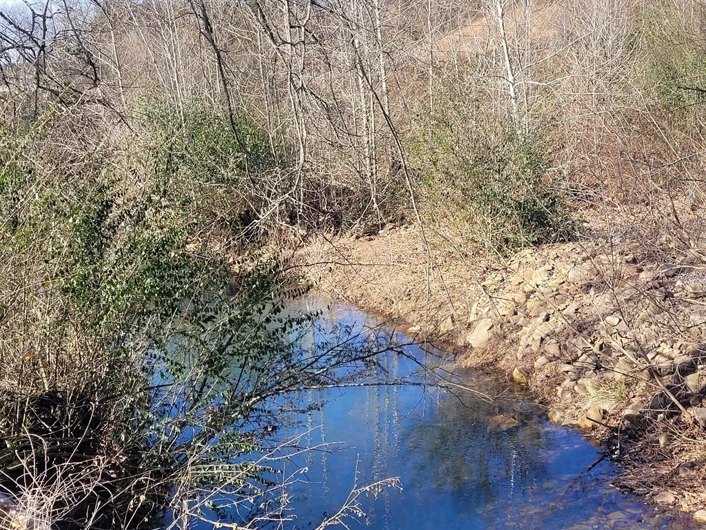 Explore this beautiful 1.23-acre lot with a charming stream along the edge. Enjoy city water, electric and an existing septic system, making it ready for your dream home. Nestled in a peaceful, private setting, it's the perfect spot for your vision!