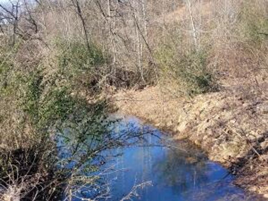 Explore this beautiful 1.23-acre lot with a charming stream along the edge.  Enjoy city water, electric and an existing septic system, making it ready for your dream home.  Nestled in a peaceful, private setting, it's the perfect spot for your vision!