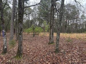 Will sell as 5 acres/ 2.4 acres/ 1.7 acres or as 9.1 acres for all.