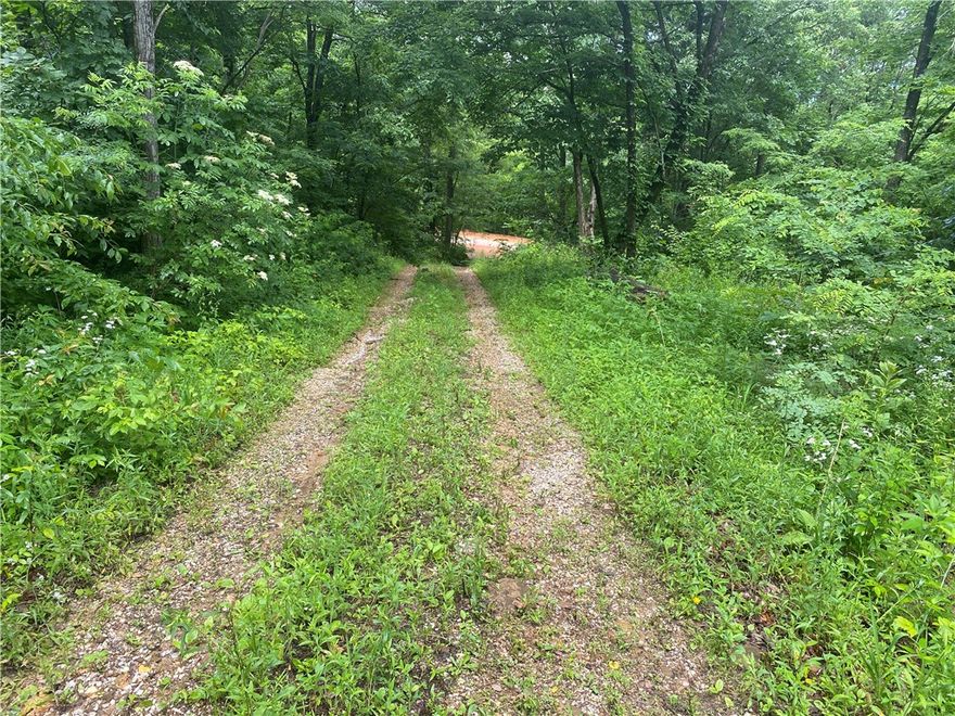 5.79 acres in beautiful Newton County in the Buffalo National River region of the Ozark Mountains of Arkansas. Perfect location being only 2.9 miles from Jasper with county road frontage on Old Hwy 7. Property has water and electric on site. Abundance of wildlife for hunting or viewing to include turkey and deer. The property is located just 9 miles from the Pruitt Public Access of the Buffalo National River for canoeing and fishing. Located in Newton County and Heart of the Ozark Mountains. Near the Ozark National Forest which provides many recreational opportunities to include hiking, hunting, horseback riding, bike riding or ATV riding.