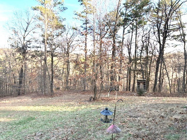 Eagle Nest - Residential