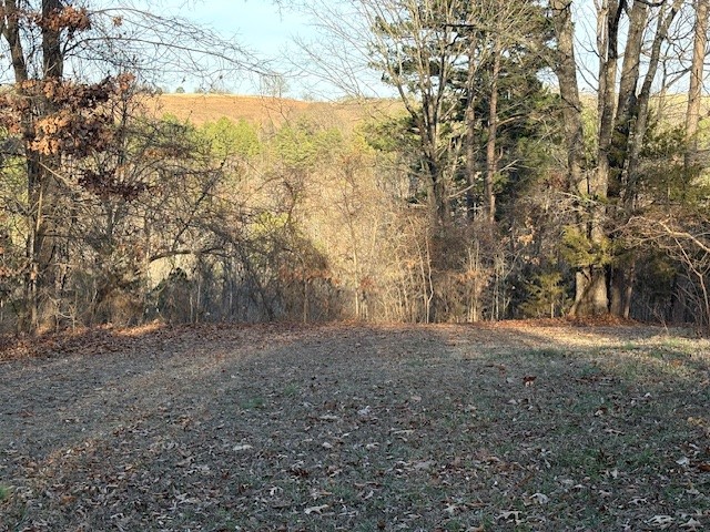 Eagle Nest - Residential