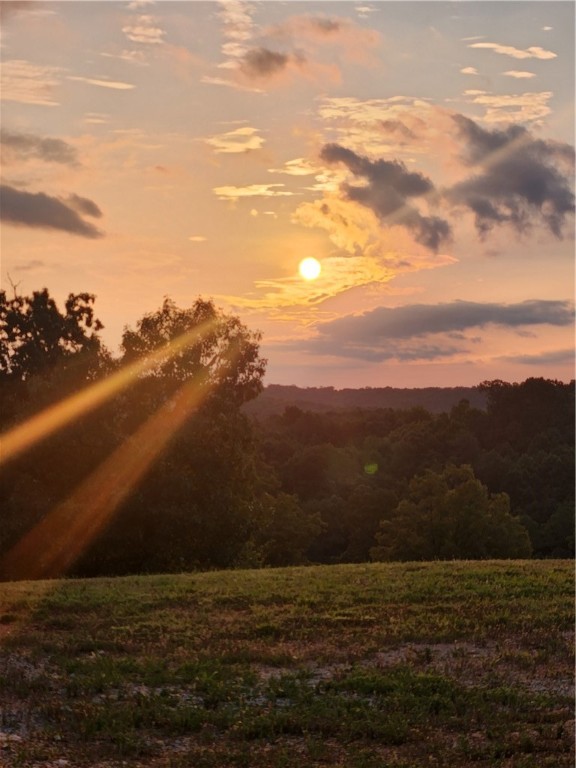 If you are looking for PRIVACY and CONVENIENCE look no further. Custom built in 2021. Watch the sunrise with a cup of coffee from the covered back porch or entertain from the beauty of the deck. Come inside for holidays by the pellet stove with Huge Family space. Oversized 1200 square ft garage and a on site hunting blind. Abundant wildlife including deer and dove. Leave the driveway on your side by side with miles of dirt road available. All Gravette schools are 5-7 mins away. 10 mins to 549 for your travel to all surrounding towns. Implement Shed in process of being built. Lynchburg subdivision is working on approval to pave Sunburst. This Beautiful Secluded Paradise won't last long. BUYERS INCENTIVE!!! ALL LAWNCARE EQUIPMENT CONVEYS WITH PROPERTY.
WELCOME HOME!!!!