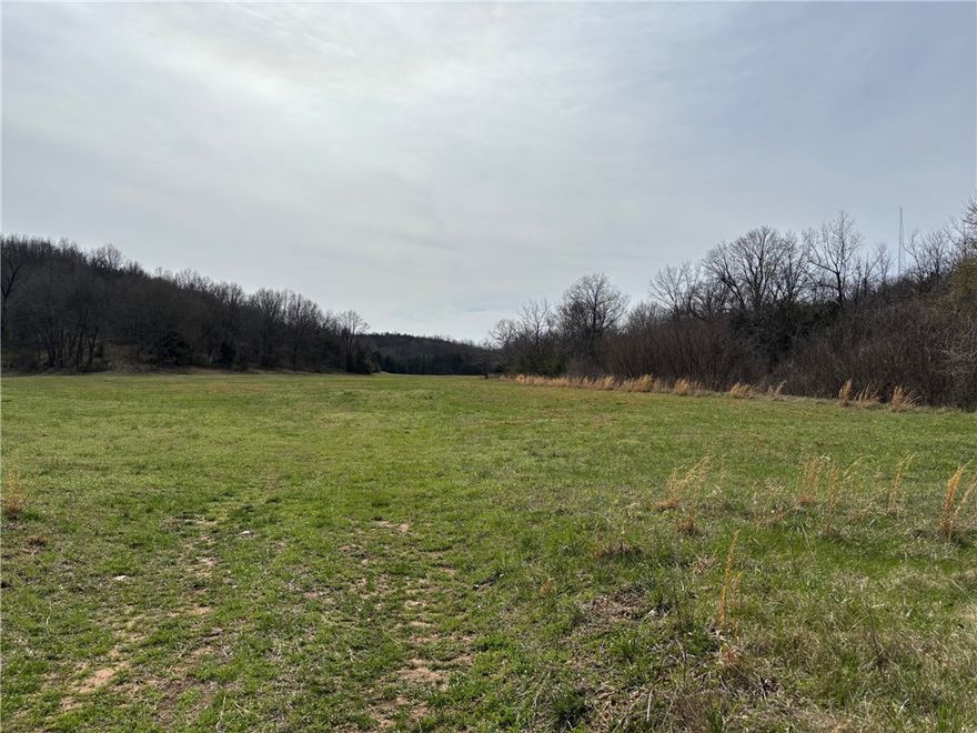 Nice mix of wooded and pasture on the 98 acres (m/l) in southeastern Marion County. Small stream and spring provides water for livestock. Approx. 1/4 is pasture with a balance of woods. Fronts two county roads, one gravel and the other (MC 5008) is paved. Adjoins the historic Bruno School Property.