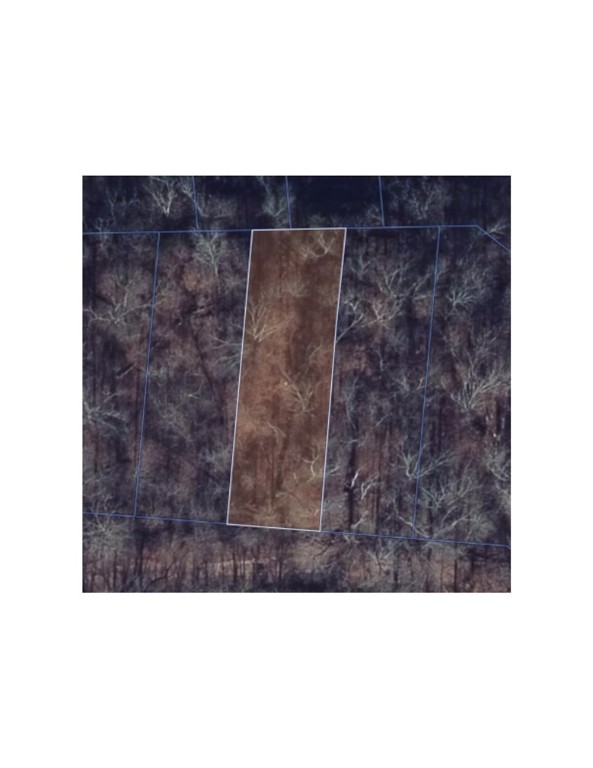 Sold before print.