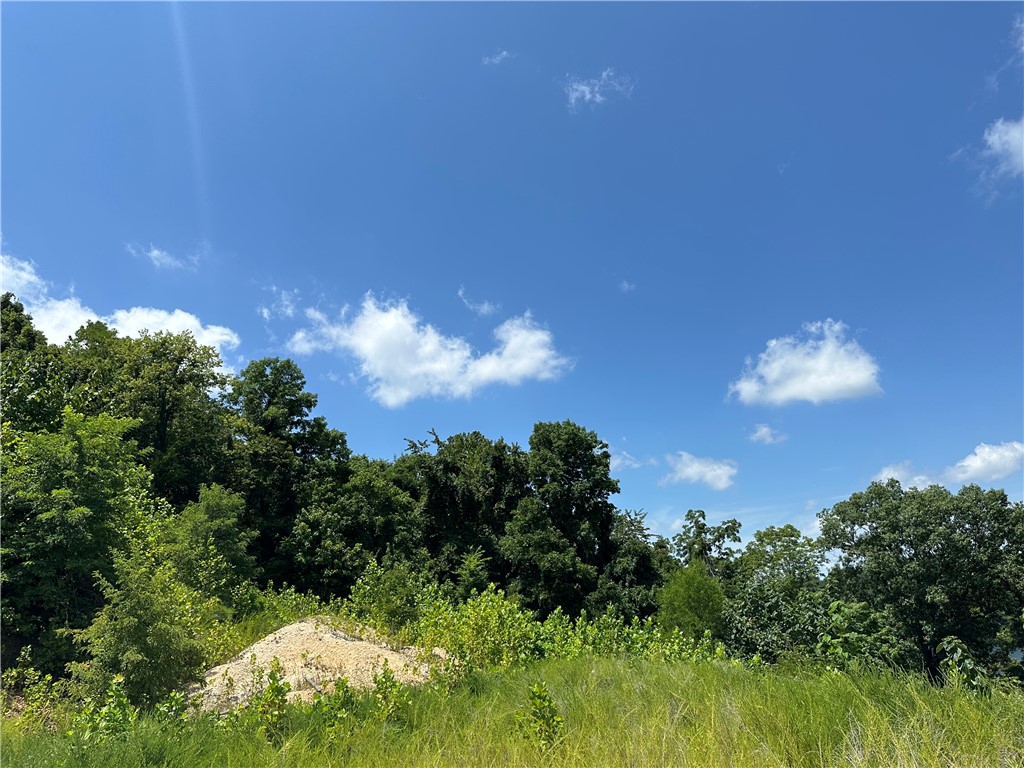 War Eagle Bend Sub - Land