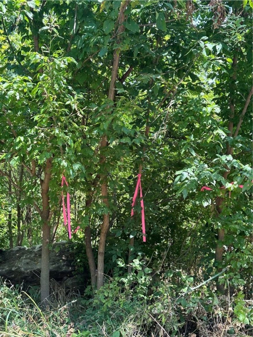 Perfect for the Vision-Minded Buyer, this lakefront lot spans nearly 2 acres with stunning views of Beaver Lake near War Eagle Marina! Ideal for a home with picture windows wall floor to ceiling to soak up the expansive view. Build a rooftop patio to extend your view of the lake, it is the perfect place for entertaining! Located in the Springdale school district, this lot is perfect for a multilevel house design. Don't miss out on this unique opportunity!  This land is about a 45* slope, that's why it's perfect for a multilevel house.