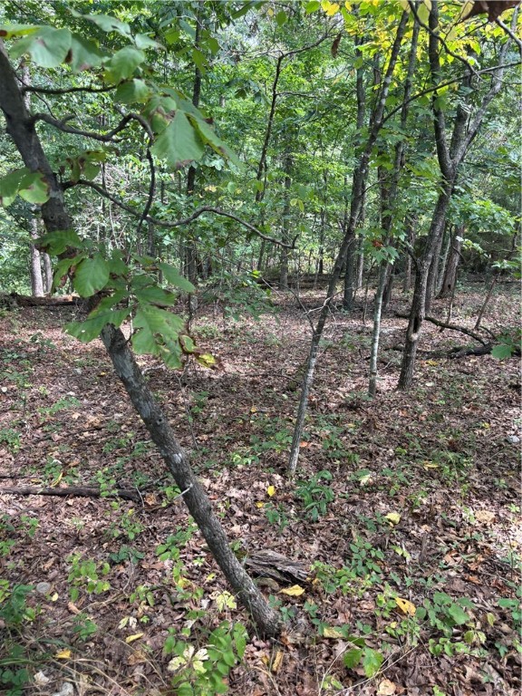 Great Bella Vista Lot with Building Potential
This lot is in a beautiful area and a fantastic location—approx. 6 minutes from Lake Brittany, approx. 7 minutes from the Back 40 Bike Trail, approx. 6 minutes from The Ledges Bike Trail, and approx. 5 minutes from the Metfield Golf Complex and Metfield Clubhouse.
If you’re looking for a great building location or a solid property investment, this one is definitely worth checking out!