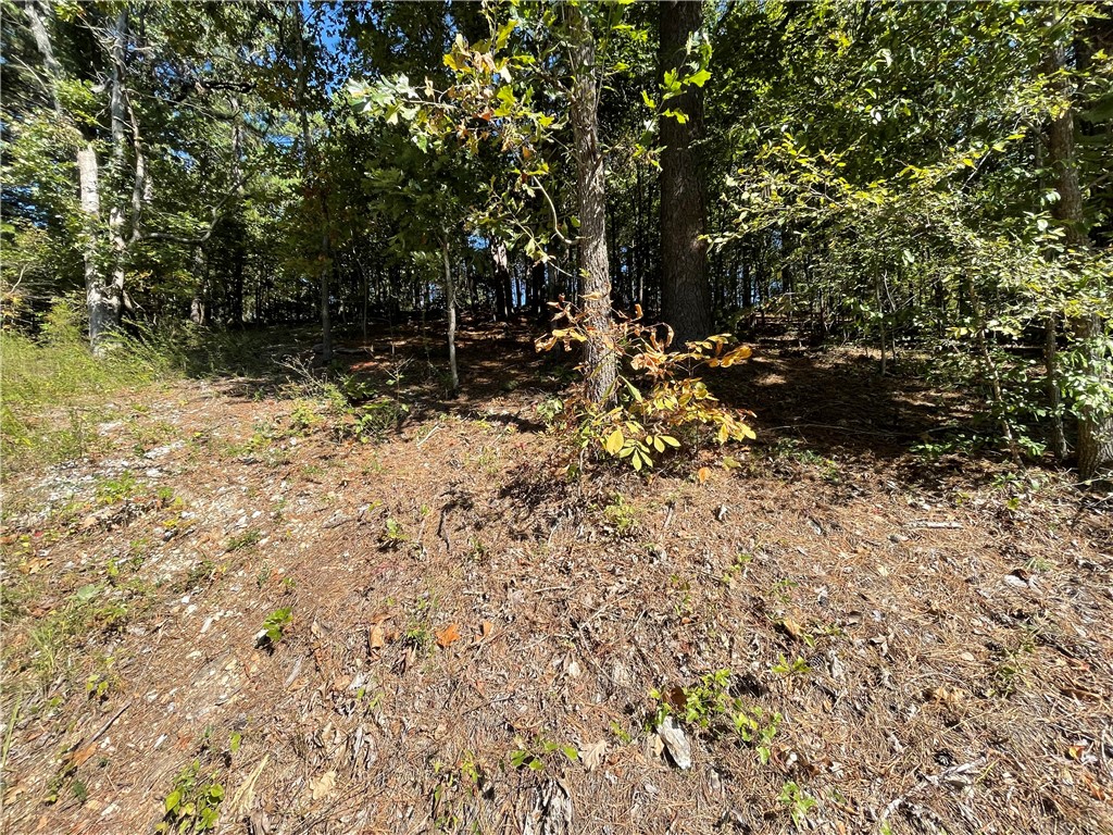 Pine Ridge Estates- Rurban - Land