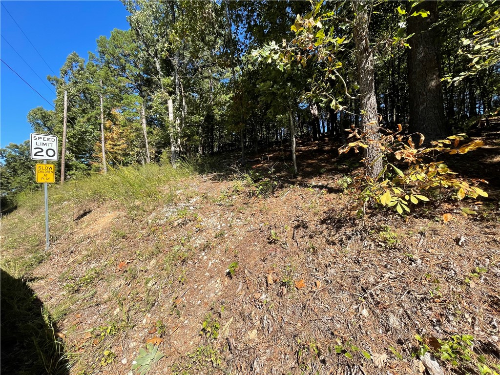 Pine Ridge Estates- Rurban - Land