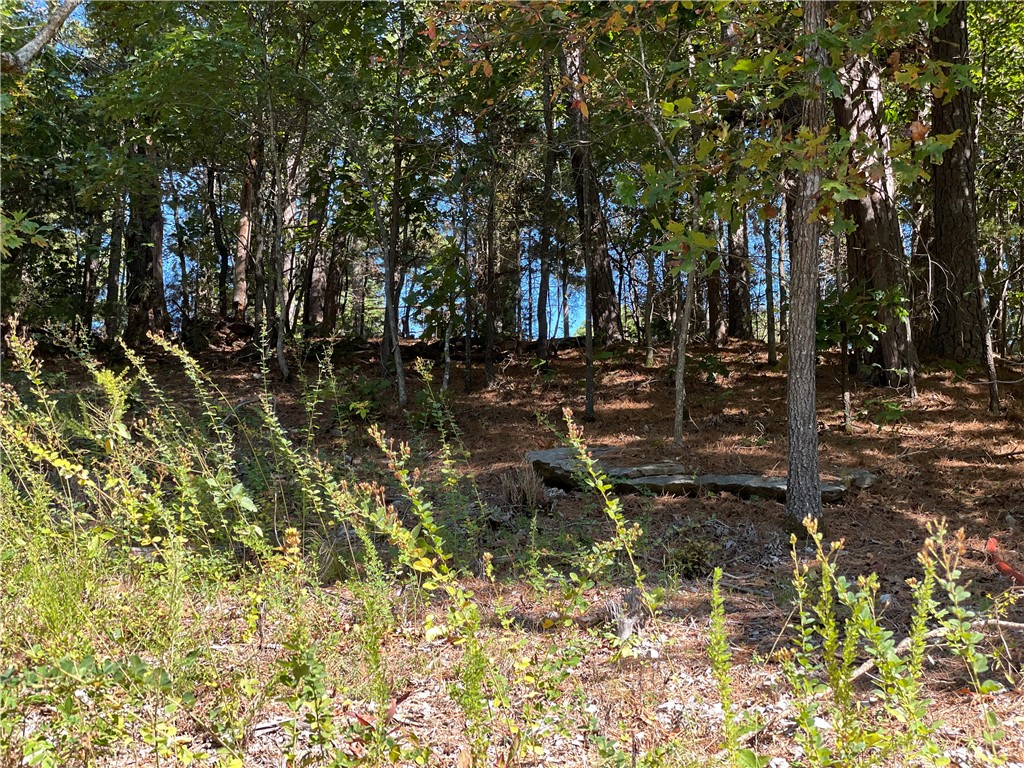 Pine Ridge Estates- Rurban - Land