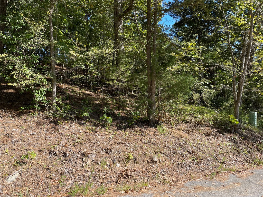 Pine Ridge Estates- Rurban - Land