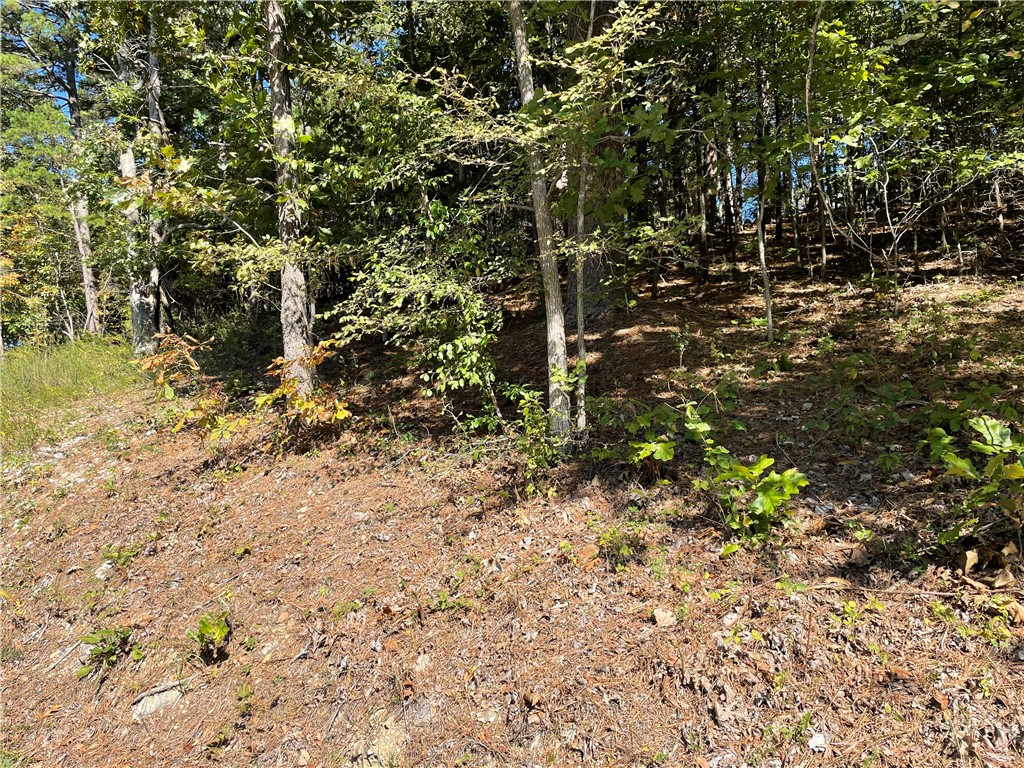 Pine Ridge Estates- Rurban - Land