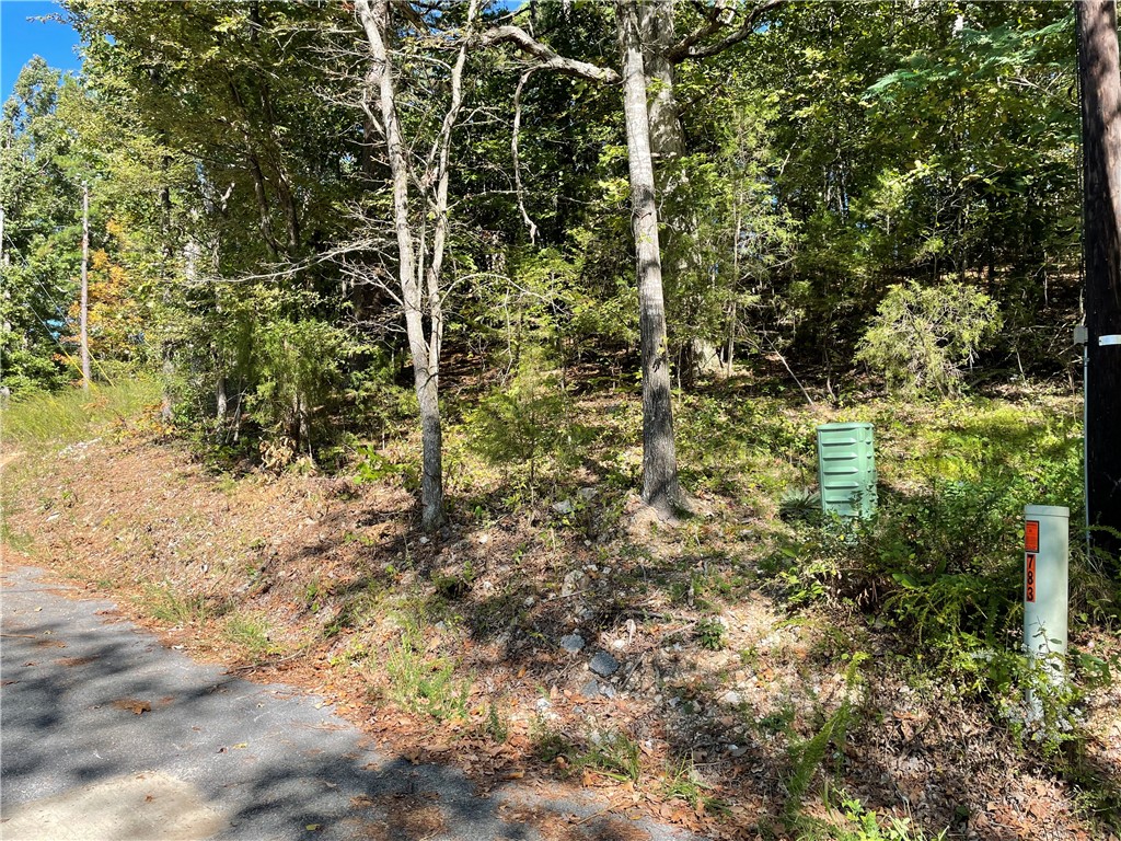 Pine Ridge Estates- Rurban - Land