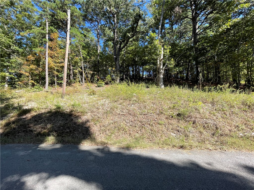 Pine Ridge Estates- Rurban - Land