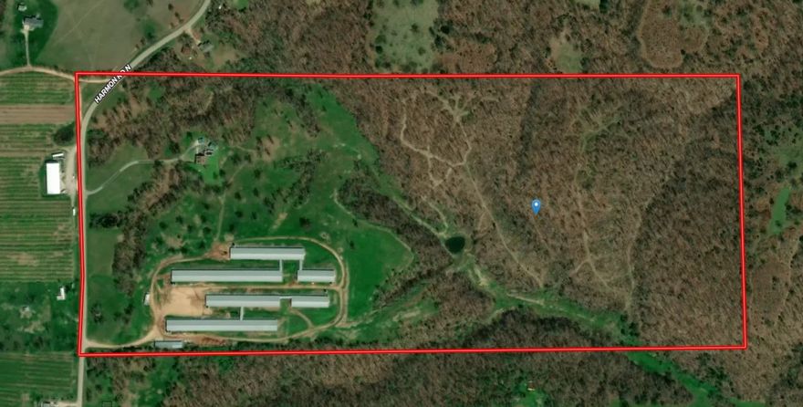 Well maintained, 6-house Butterball Turkey operation on 100 acres with large 3 story farmhouse. Natural gas and propane heat. 3-4 Flocks per year, with pay increase on new Butterball contract. 20 acres are currently fenced, with another 15-20 pasture that can be fenced. 2 Kobota tractors and all equipment to convey with acceptable offer.