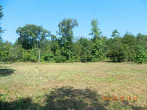 Great hunting land with wet weather creek and food plot.Land is wooded with some large trees and lots of underbrush providing a perfect habit forwildlife. Close to Horsehead Lake and National forest. 1/4 mile off pavement.