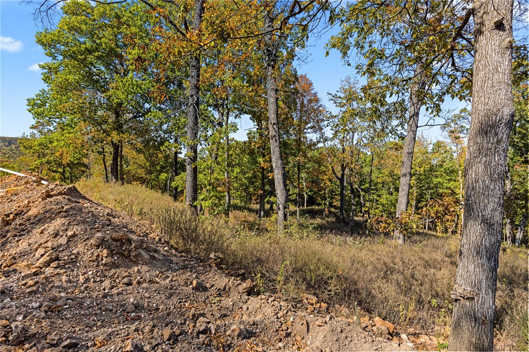 Lot 88 (0.90 m/l ac) of Round Mountain is one of the more level lots in the development. It could be perfect for a walkout basement, lays more horizontal than most and has great views to the northwest. RME is a new, master planned, exclusive subdivision located 10 minutes west of Harrison, AR. The following utilities are already on site making the building process much easier for you; natural gas, fiber optic internet, electric, public water, and sewer. Interested in your family seeing the star lights instead of those city lights? RME is what you've been searching for! RME features a 350 +/- acre common area for its residents that includes a stocked fishing pond, Kissing Rock trail, natural springs to explore, Baby Canyon trail, incredible bluff lines to climb, and views for hundreds of miles that will not only take your breath away but will forever be etched in your memory! Neighborhood amenities coming soon.
