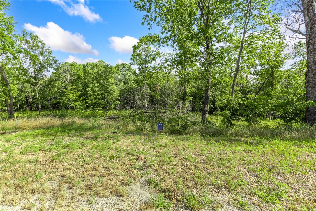 Round Mountain Estates - Land