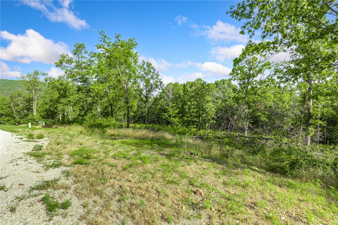 Round Mountain Estates - Land