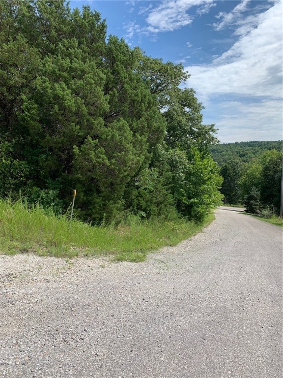 This property could have a great mountain view, with clearing of some trees. It is priced to sell. Great place for your new home.