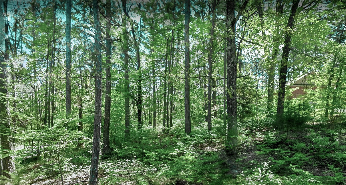 Tucked on a corner lot in a quiet cul-de-sac, this spot puts you close to the Back 40 Trails, Lake Ann, Lake Rayburn, and some of Bella Vistaās best outdoor spaces. Itās the kind of location that balances peace and access. With a slight slope and plenty of trees, this parcel offers a solid starting point for your next home. With the Bella Vista Amenities at your fingertips - including golf courses, community centers, pools, trails, etc - and just minutes from town, itās ready for whatever vision you have in mind.