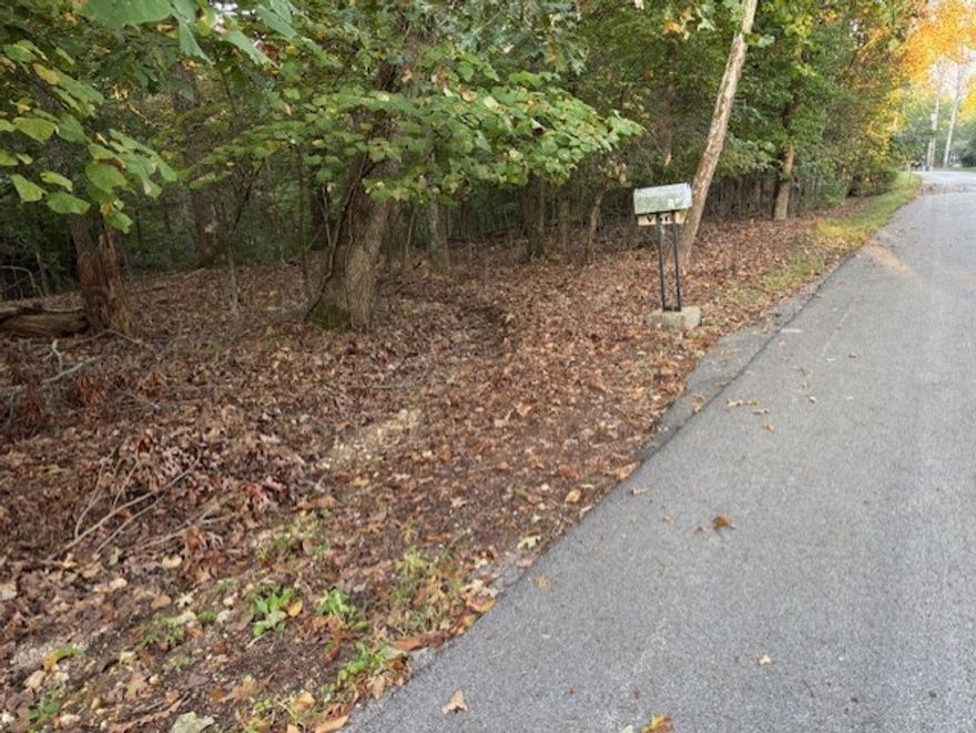 This is a nice property in an established neighborhood. It consists of 2 lots totaling 0.50 acres so there is plenty of room for your new home. It is close to one of the many lakes in Bella Vista and also close to Back 40 bike trail. Build here and enjoy all the amenities for Bella Vista.