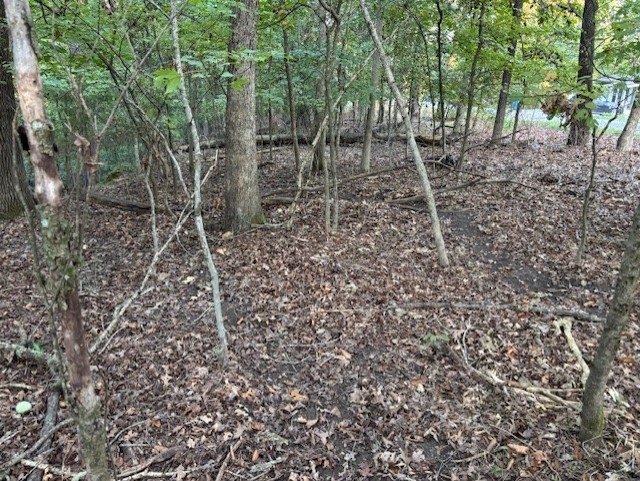 Lambeth Sub Bvv - Land