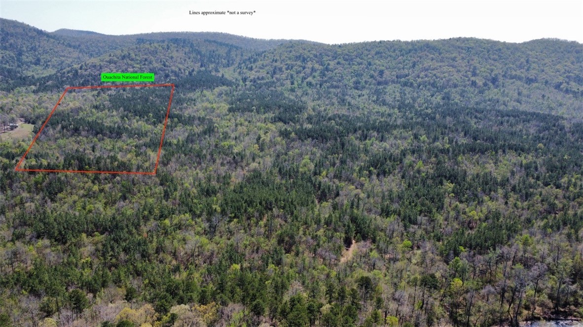 Tract 2
For Sale: ±40 Acres on South Fork Caddo River
(to be surveyed from a 240-acre parcel, with 480 acres total, all available for purchase)
This ±40-acre parcel, to be surveyed from a 240-acre parent tract, is located off NFW 517 and will offer direct deeded access via a new road constructed by the seller. The property joins the Ouachita National Forest at the south end. Perfect for an off grid cabin location, with potential for electricity in the future.
Planted in 2008, Loblolly pines cover a large portion of the property, primarily south of the existing road. This 40 acres is gently rolling pine/hardwood timber stand, with a wet weather creek running through the center. The map shows proposed boundaries and access points—pink arrows indicate new roads to be built, and white lines show existing trails.