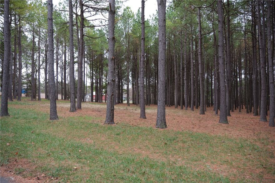 Close to one acre lot in Revised Hidden Pines Subdivision near the Kings River. Sporting family's access to nature is unparalleled from this location. Realize the construction of your dream home near the river.
Underground power available, city water access, and septic needed. 
Previous percolation test done by developer.
Access to Kings River in subdivision, walk to the gravel bar within minutes. 
Serene and private, near the river, close enough to Berryville for supplies.