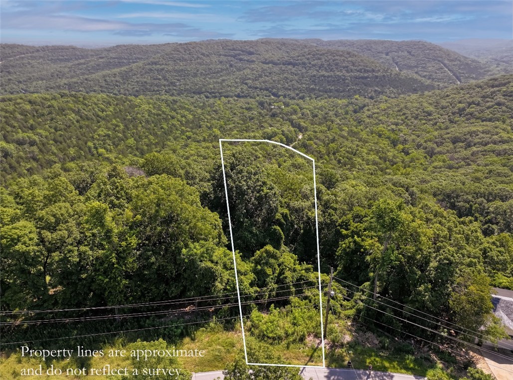 This 0.92 Acre lot may be accessed from Holiday Island Drive at the top for an AMAZING view and a prominent location/address. It may also be accessed from Hawk Drive for a cool, shady, tucked-away site. Moments away from the Holiday Island Marina on Table Rock Lake, with all the amenities that Holiday Island has to offer: golf, swimming, lakeside walking trails, tennis, pickleball and clubhouse. Water, sewer and electric all available on site.