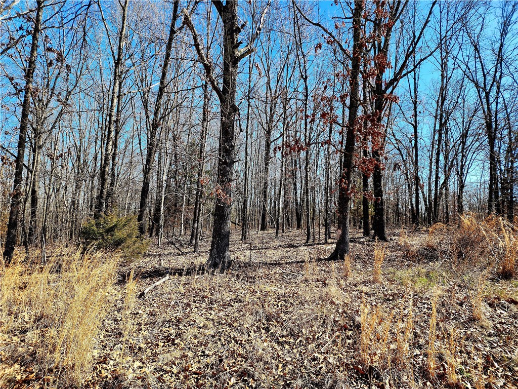 .29 acre lot located in the Lothian Subdivision in Bella Vista. Right next to a corner lot w / road frontage. Pretty level, very buildable, At&t underground cable box located on the property. Electric is at the street, water is nearby.