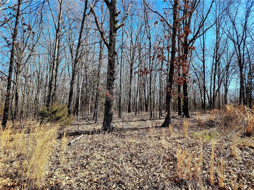 .29 acre lot located in the Lothian Subdivision in Bella Vista. Right next to a corner lot w / road frontage. Pretty level, very buildable, At&t underground cable box located on the property. Electric is at the street, water is nearby.