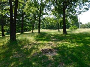 Established Home Site!! Just over 10 acres land with all utilities in place including public water, well, septic system, electrical connections, plus outbuildings include detached garage, carport, and a 32 ft X 380 ft steel truss poultry building and part of another one which can be used as a shop or storage areas. Peaceful country setting, road dead ends at next house. See maps in Documents tab. Age, sq ftg, lot size, acreage, utilities, etc, are from public records, Buyer should verify.