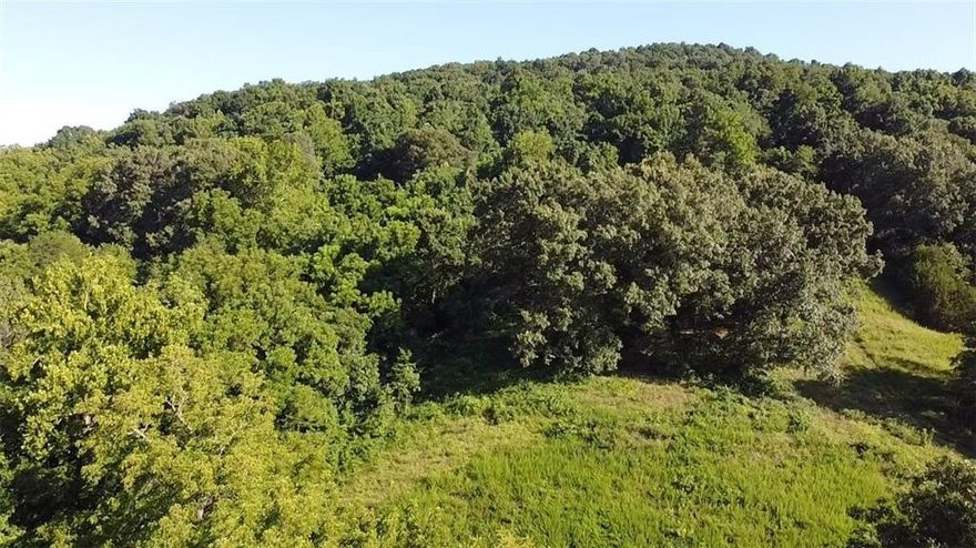 70 acres fronting on Hwy 412 West -  1.25 miles West of Osage AR from the Jct of 103 &  Hwy 412, the 70 acres has a mixture of pasture and hardwood timber offering multiple cabin or home sites with distance views 2 ponds and a spring as well standing timber appraised for approximate $100,000 this makes a great investment as well.  Call Today for additional information or to schedule an appointment to view the property.