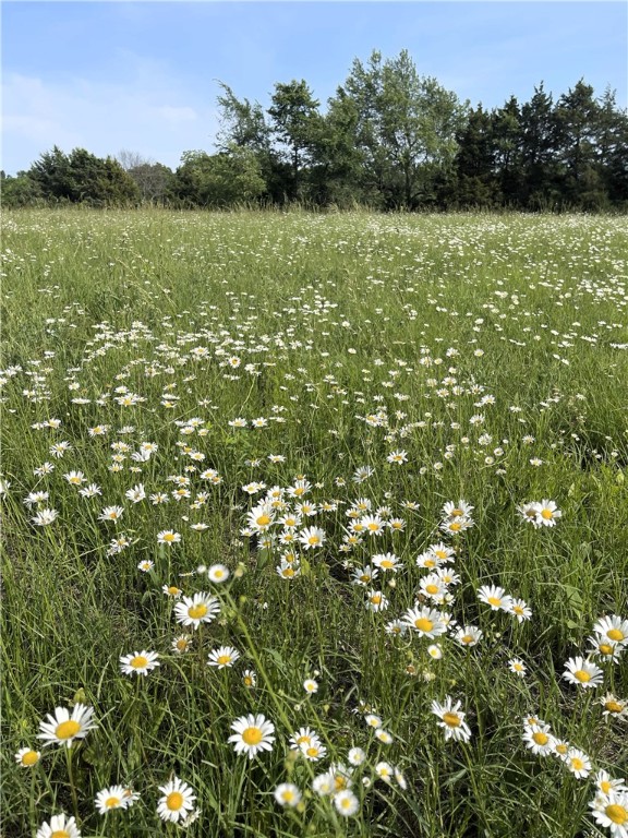 Here is an opportunity to have 5.01 acres of land to build your dream home. You will have all sorts of wildlife surrounding you every morning when you wake up to see the sunrise and every night when you relax while watching the sunset on this peaceful 5 acres. There are plenty of places to build or you can split the land and invite a family member or friend to build with you. This land is flat with lots of trees for privacy as well as several open areas to build your home.
If you are an investor looking for land to build a spec home or a few, this land is literally only 20 minutes to Fayetteville and less than 20 mins to Huntsville and Springdale, so the location is perfect for your investment. Lots of families need to be close to the city, but still want to live in the country. This land has 3 acres on one and 2 acres on the other, so perfect for your home and an investment as well.