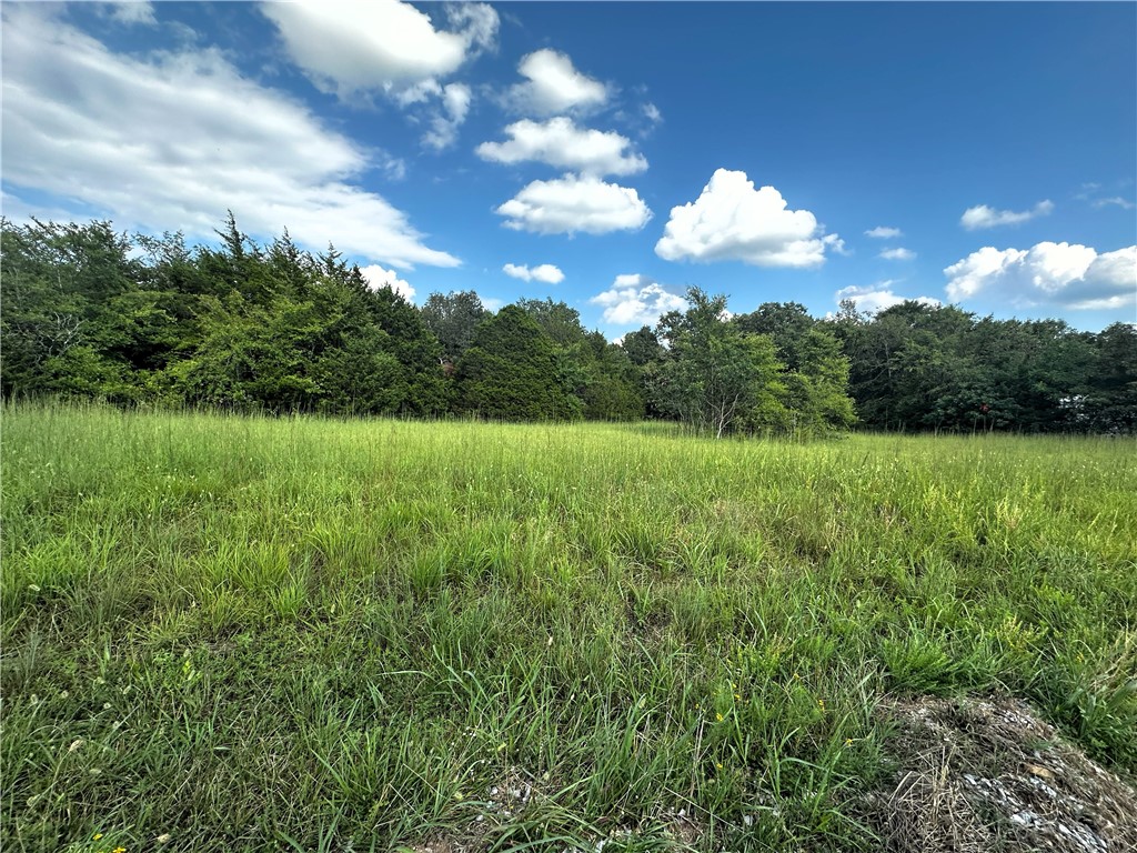 - - Land