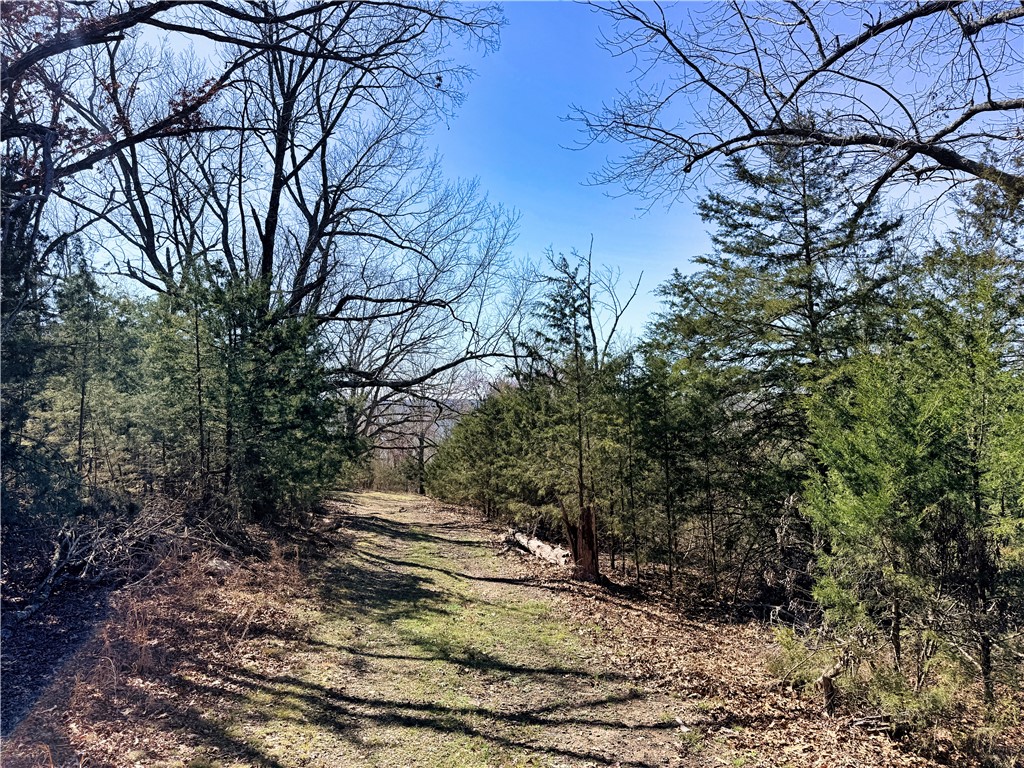 36-20-28-RURAL - Land