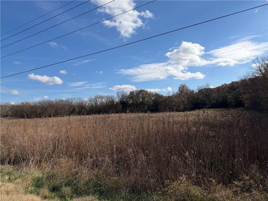 Prime 6.68-acre mixed-use lot located directly on Highway 62 in Prairie Grove. Excellent highway frontage, strong visibility, and flexible development potential for commercial, residential, or investment use. A portion of the land lies within a designated flood zone and is priced accordingly. Public water is nearby (not connected), and septic will be required. With over six acres available, this parcel offers opportunities for building, storage, parking, or future expansion. Buyer to verify zoning, utilities, flood zones, and permitted uses.