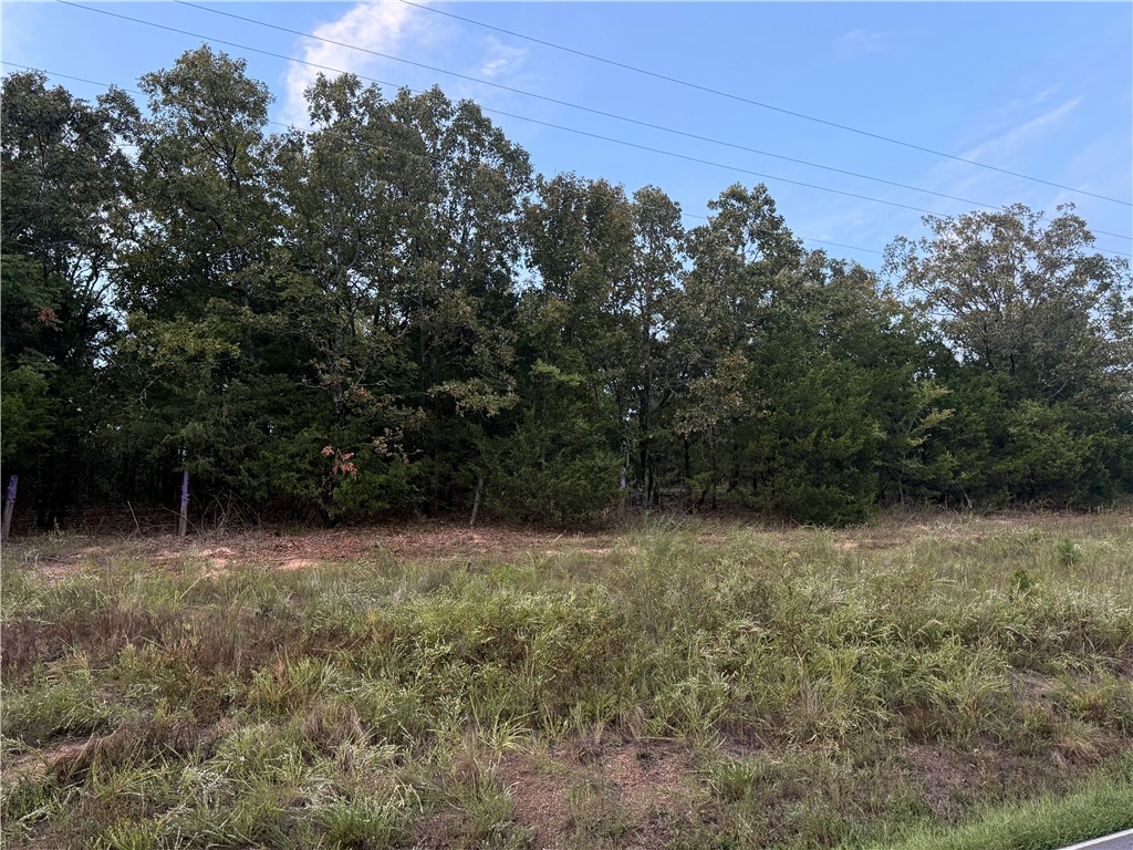 Property is located just west of the Hwy 287/Acklin Gap intersection. Property has lots of trees. Currently used for hunting and recreation. Could be recreated to be a great home site or pasture land.
