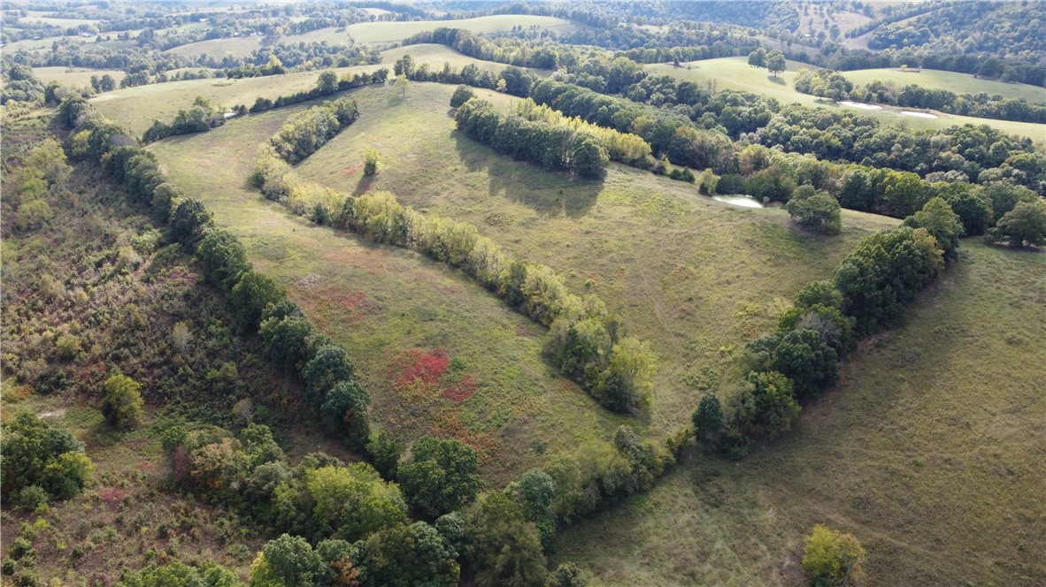 Looking for the perfect blend of functionality, seclusion, and natural beauty? This 40-acre fully fenced cattle pasture is ready for your livestock operation today. Whether you’re expanding your ranching operation or starting fresh, this parcel is the ideal setup for productive grazing.