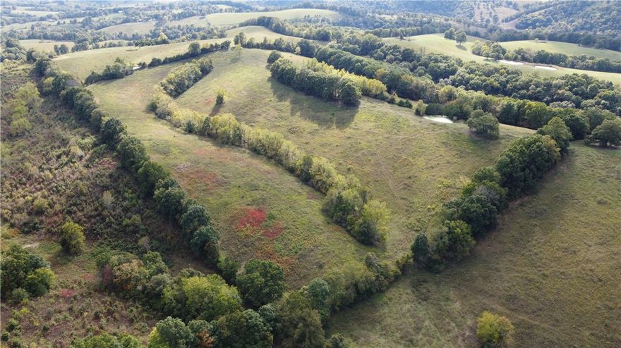 Looking for the perfect blend of functionality, seclusion, and natural beauty? This 40-acre fully fenced cattle pasture is ready for your livestock operation today. Whether you’re expanding your ranching operation or starting fresh, this parcel is the ideal setup for productive grazing.