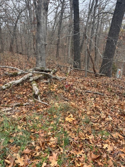 Essex Sub Bvv - Land