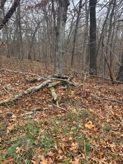 Essex Sub Bvv - Land