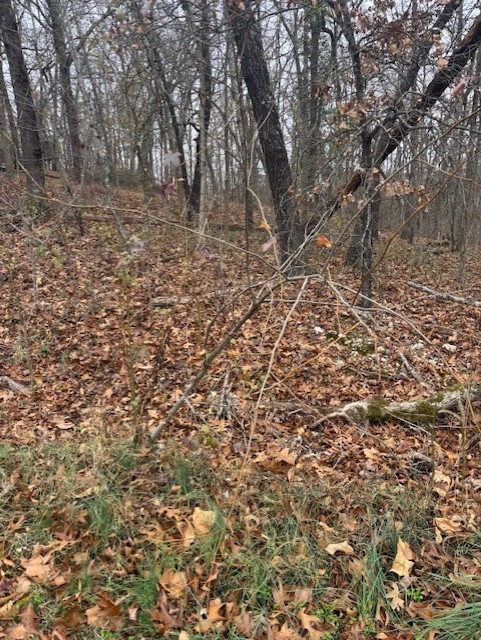 Essex Sub Bvv - Land