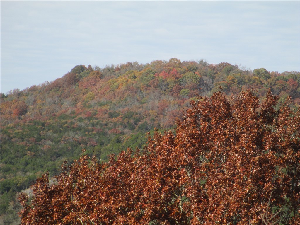 Unit 1C Holiday Island - Residential