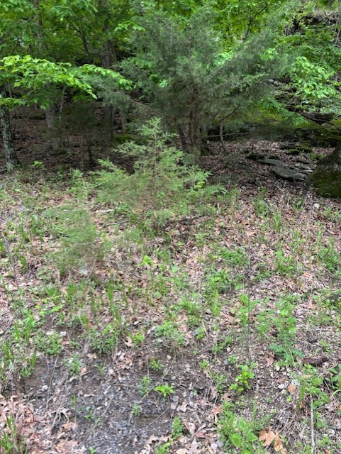 Lost Bridge Village Rurban - Land