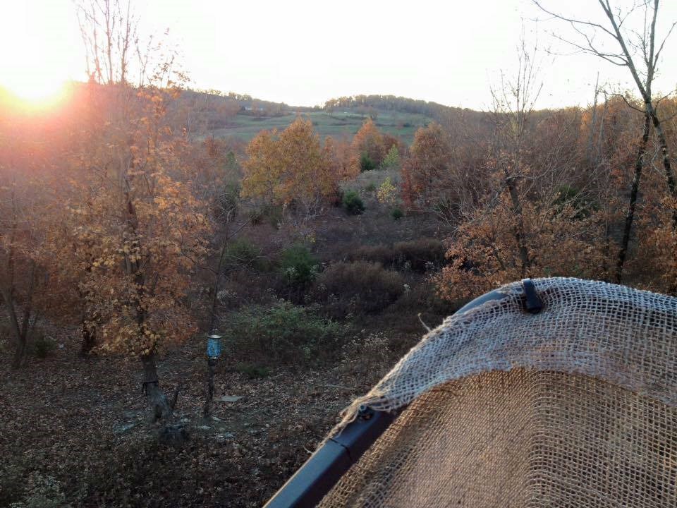 Exclusive privacy with a view! Utilities at the road, will need a septic if you plan to build. Signs will be at the road, you will need an agent or the owner present to get on to the property. Wear bug spray on showings! HUNTING SEASON- hunters may be on the property. Call before entering land.