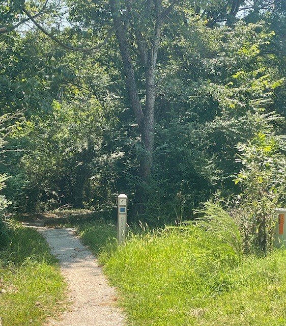 This location can't be beat on this beautiful, level to gentle sloped lot. Pine tree-lined on roadside, just gorgeous private lot, right on the Down Under Trail bike trails with switchback next to lot. Property was perk tested 2 years ago for 4-bedroom home and has been surveyed. This lot is on its own cul-de-sac and no one can build next to it, the bike trails are next to lot. Enjoy all the amenities of Bella Vista, Bentonville Schools, conveniently located to Bentonville.